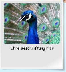 Ihre Beschriftung hier